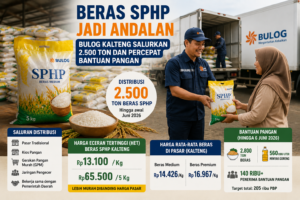 Beras Sphp Jadi Andalan, Bulog Kalteng Salurkan 2.500 Ton Dan Percepat Bantuan Pangan