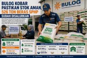 Bulog Kobar Pastikan Stok Aman, 526 Ton Beras Sphp Sudah Disalurkan