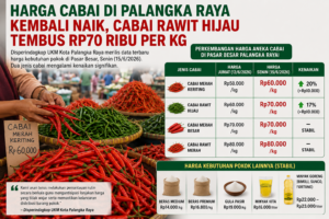 Harga Cabai Di Palangka Raya Kembali Naik, Cabai Rawit Hijau Tembus Rp70 Ribu Per Kg