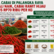Harga Cabai Di Palangka Raya Kembali Naik, Cabai Rawit Hijau Tembus Rp70 Ribu Per Kg