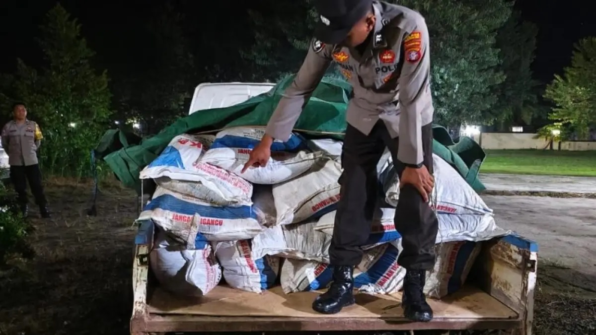 Pupuk bersubsidi di kotim diduga disalahgunakan, sopir mengaku dibayar rp600 ribu Pupuk Bersubsidi Di Kotim Diduga Disalahgunakan, Sopir Mengaku Dibayar Rp600 Ribu