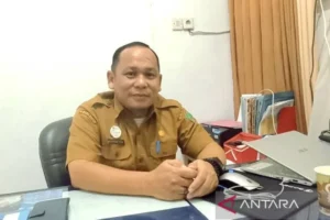 Dbd Melanda Sukamara: 31 Kasus Terkonfirmasi