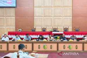 Dprd Palangka Raya Minta Pln Segera Atasi Pemadaman Listrik Bergilir, Warga Kota Mengeluh