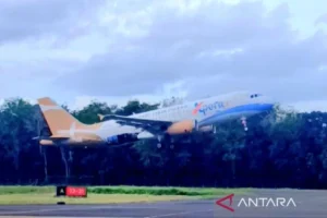 Karhutla Membuat Penerbangan Ke Bandara Haji Asan Sampit Tertunda