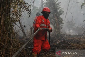 Kebakaran Hutan Dan Lahan Di Palangka Raya: Luasnya Meningkat Drastis
