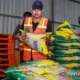 Kemarau Kian Terasa, Stok Beras Kalteng Masih Aman Menjelang Musim Kemarau