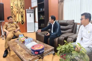 Listrik Padam Bergiliran Di Barito Utara: Bupati Panggil Manajer Pln