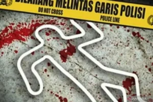 Operasi Evakuasi Korban Penembakan Kkb Di Seradala: Upaya Tim Gabungan Tni-Polri
