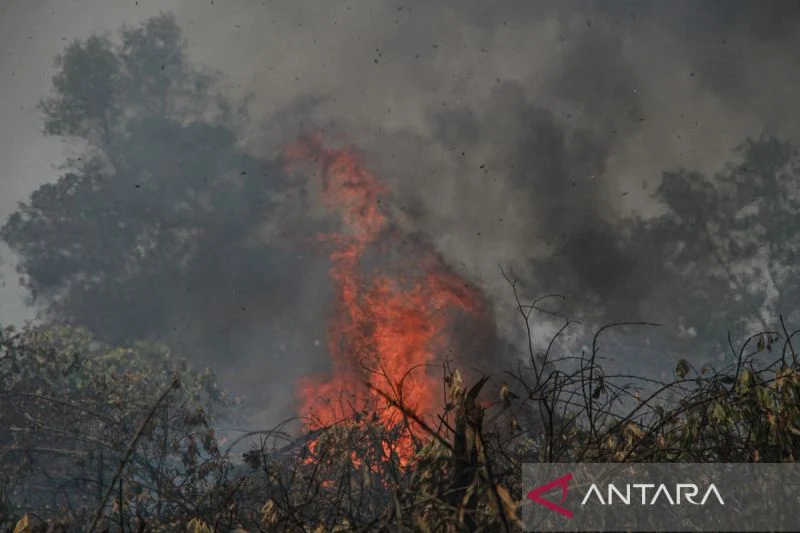 Pemadaman kebakaran hutan dan lahan di palangka raya: upaya penyelamatan lingkungan Pemadaman Kebakaran Hutan Dan Lahan Di Palangka Raya: Upaya Penyelamatan Lingkungan