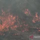 Pemerintah Harus Ambil Langkah Cepat Untuk Mencegah Kebakaran Hutan Dan Lahan