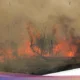 Api Lahap Area Dasu House Of Grill Diduga Berawal Dari Lahan Kosong, Palangka Raya: Penyelidikan Dan Dampak Kebakaran