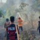 Bmkg Ingatkan Ancaman Karhutla Belum Berakhir, Risiko Kebakaran Di Kotawaringin Timur Tinggi Hingga Pertengahan September
