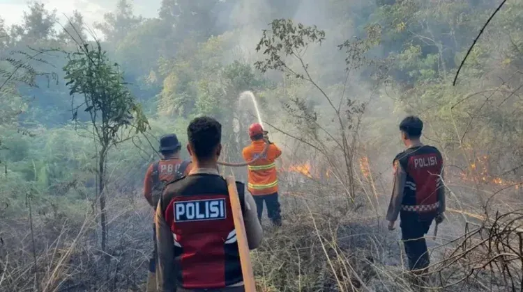 Bmkg ingatkan ancaman karhutla belum berakhir, risiko kebakaran di kotawaringin timur tinggi hingga pertengahan september Bmkg Ingatkan Ancaman Karhutla Belum Berakhir, Risiko Kebakaran Di Kotawaringin Timur Tinggi Hingga Pertengahan September