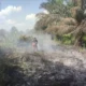 Bpbd kobar imbau masyarakat tingkatkan kewaspadaan terhadap potensi karhutla Bpbd Kobar Imbau Masyarakat Tingkatkan Kewaspadaan Terhadap Potensi Karhutla