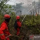 Bpbd Palangka Raya Tangani 151 Kejadian Kebakaran Lahan Di Kalimantan Tengah