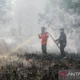 Bpbd Palangka Raya Tangani Bencana Kebakaran Lahan Hingga 31 Juli