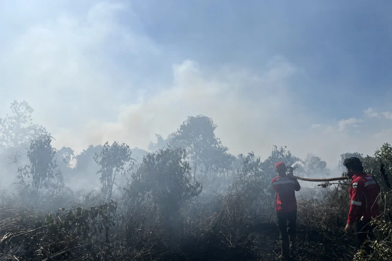 Dishut kalteng ajak penguatan kolaborasi optimalkan penanganan karhutla Dishut Kalteng Ajak Penguatan Kolaborasi Optimalkan Penanganan Karhutla