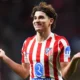 Drama Transfer Julian Alvarez Dan Fenerbahçe Raih Tiket Liga Champions: Semua Yang Perlu Anda Tahu