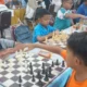 Dunia ‘Got’ Berita Terbaru: Cricket, Cuaca Panas, Catur Junior, Hasil Gcse, Dan Kebijakan Pip