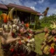 Festival Nikep Bergema Di Desa Lalap: Kebangkitan Budaya Dayak Maanyan Di Barito Timur