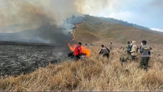 Foto: titik api baru muncul di kawasan bromo, upaya pemadaman diperkuat Foto: Titik Api Baru Muncul Di Kawasan Bromo, Upaya Pemadaman Diperkuat