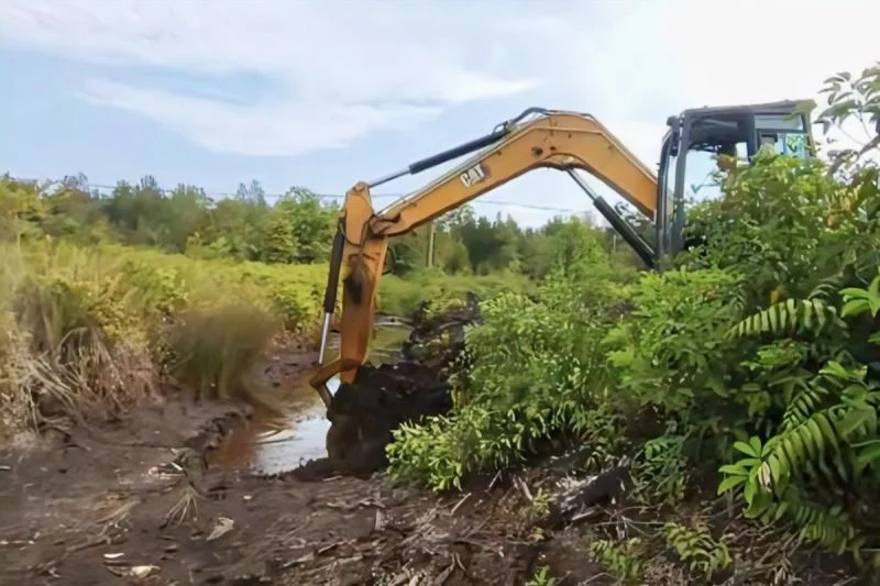 Kalimantan tengah perkuat penanganan karhutla melalui normalisasi kanal Kalimantan Tengah Perkuat Penanganan Karhutla Melalui Normalisasi Kanal