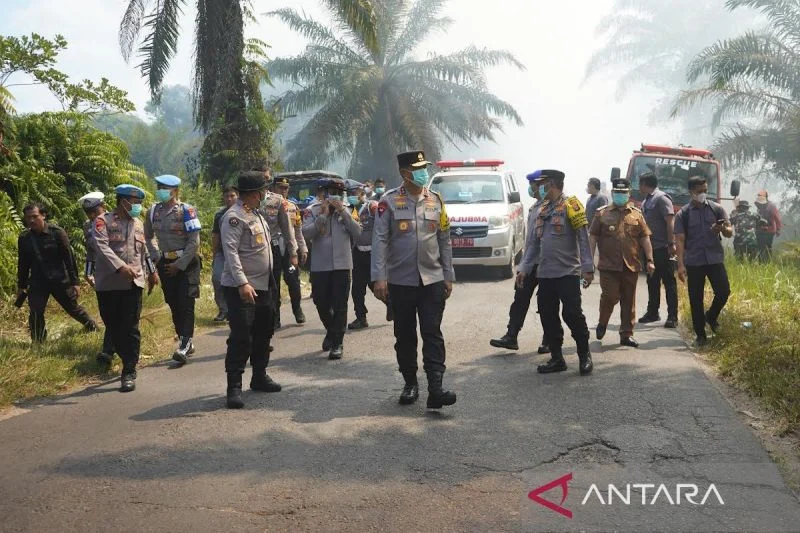 Kapolda kalteng optimalkan penanganan karhutla di kotim, upaya cegah kebakaran Kapolda Kalteng Optimalkan Penanganan Karhutla Di Kotim, Upaya Cegah Kebakaran