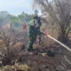 Kapolres Katingan Dan Dandim Turun Langsung Padamkan Karhutla, Tindakan Cepat Cegah Penyebaran Api