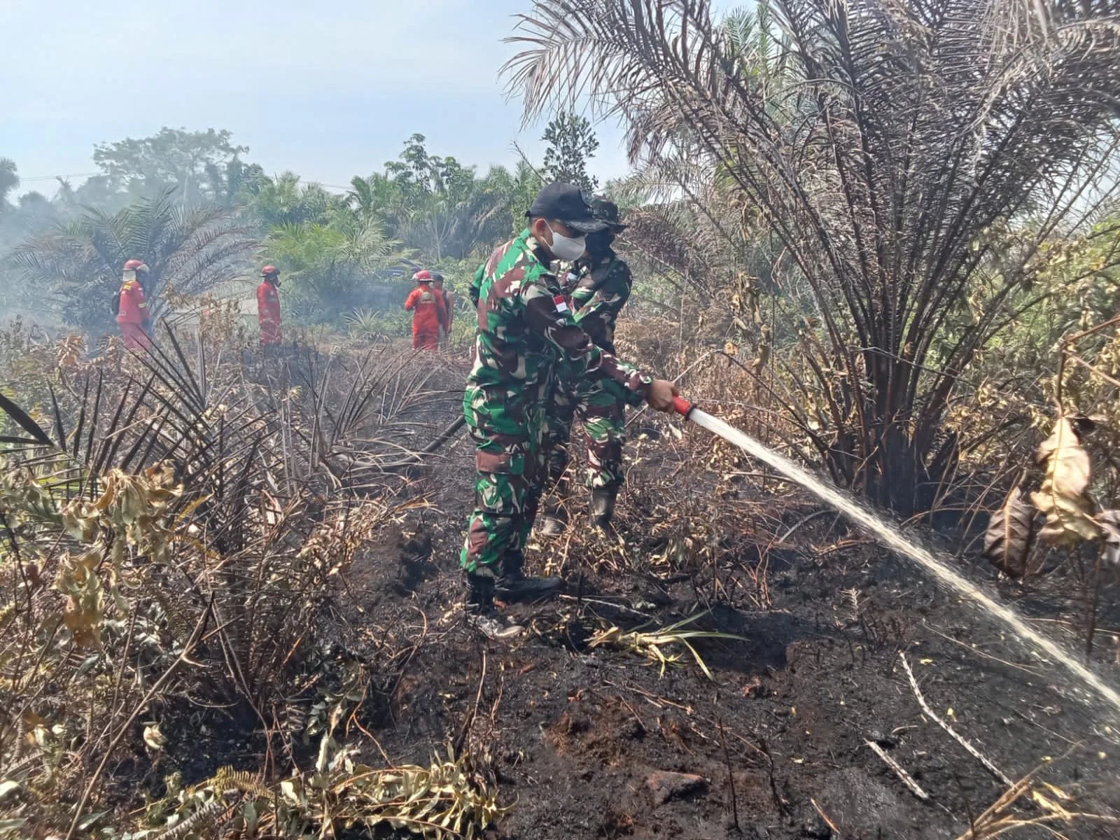 Kapolres katingan dan dandim turun langsung padamkan karhutla, tindakan cepat cegah penyebaran api Kapolres Katingan Dan Dandim Turun Langsung Padamkan Karhutla, Tindakan Cepat Cegah Penyebaran Api
