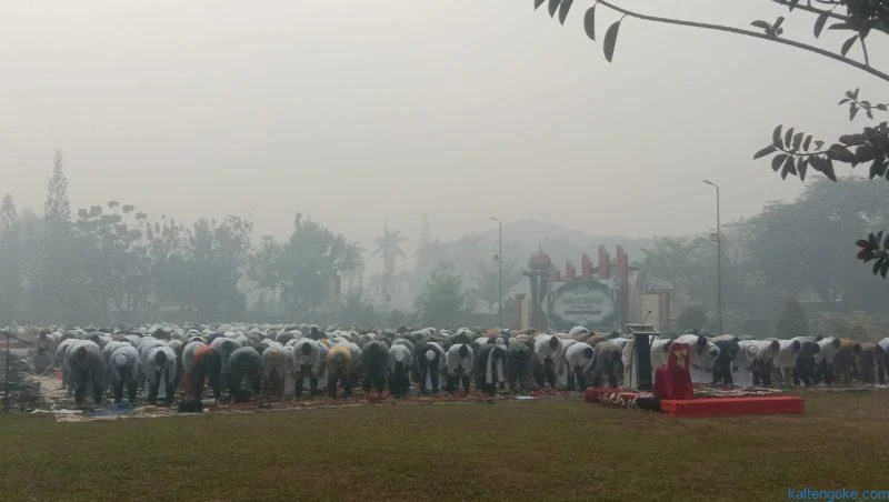 Karhutla kotim 302 kejadian, pemkab siapkan salat istisqa untuk minta hujan Karhutla Kotim 302 Kejadian, Pemkab Siapkan Salat Istisqa Untuk Minta Hujan