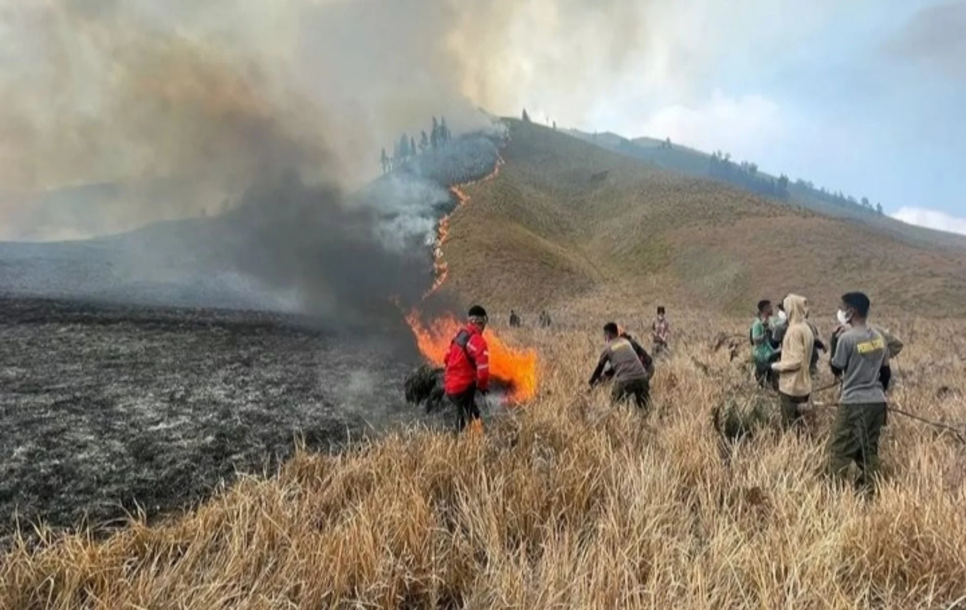 Karhutla meluas, gunung bromo ditutup total: kondisi terkini dan dampaknya Karhutla Meluas, Gunung Bromo Ditutup Total: Kondisi Terkini Dan Dampaknya