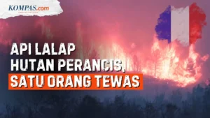 Kebakaran Hutan Di Prancis: Peluru Sisa Perang Dunia Ii Meledak