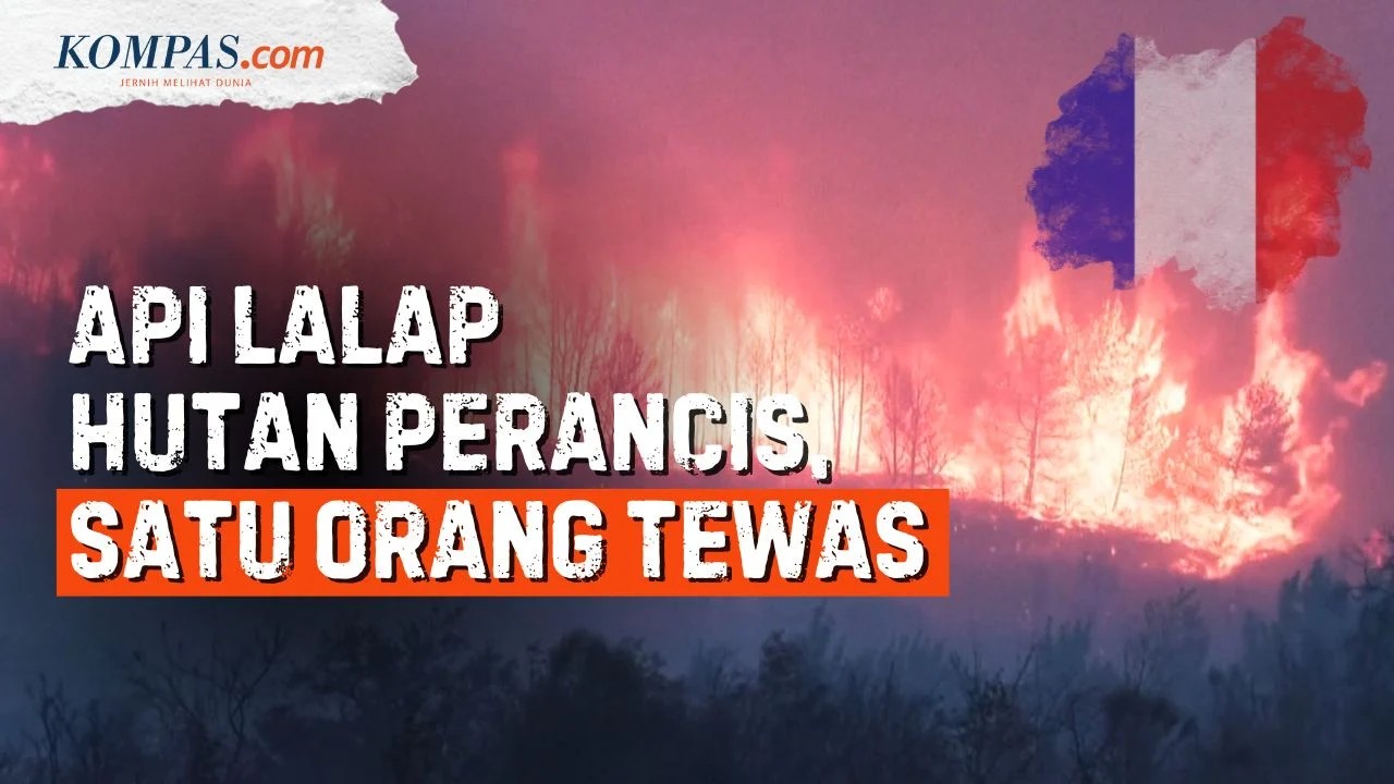 Kebakaran hutan di prancis: peluru sisa perang dunia ii meledak Kebakaran Hutan Di Prancis: Peluru Sisa Perang Dunia Ii Meledak