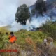 Kebakaran Hutan Gunung Bromo Terus Meluas Imbas Angin, Kini Capai 520 Hektare