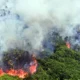 Kebakaran Hutan Kalimantan: Sorotan Media Asing Dan Dampak Asap Ke Malaysia Mengguncang Publik