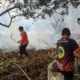 Kebakaran Karhutla Di Palangka Raya: Mencekam Tim Sar Evakuasi Warga Terjebak Kepungan Api