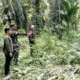 Kepala Daerah Katingan Tekankan: Masyarakat Harus Setop Membakar Lahan Untuk Hindari Karhutla