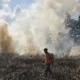 Krisis Asap Karhutla Kalimantan: Ribuan Titik Api, Protes Negara Tetangga, Dan Warga Tercekik Asap Seumur Hidup