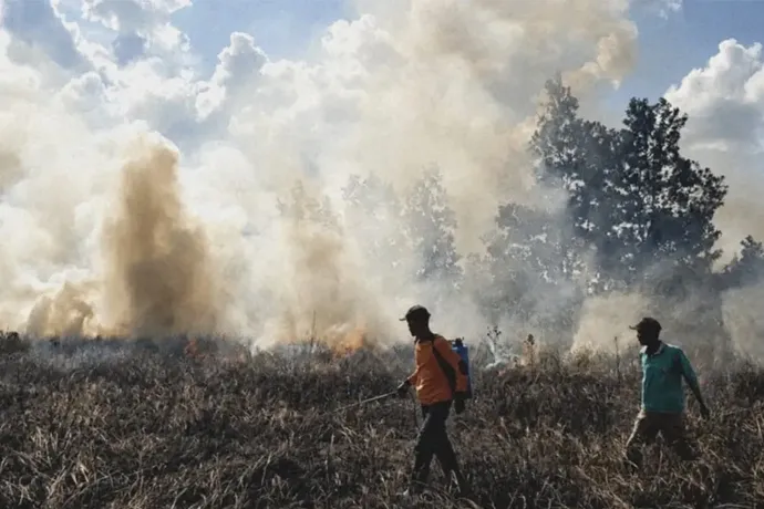 Krisis asap karhutla kalimantan: ribuan titik api, protes negara tetangga, dan warga tercekik asap seumur hidup Krisis Asap Karhutla Kalimantan: Ribuan Titik Api, Protes Negara Tetangga, Dan Warga Tercekik Asap Seumur Hidup