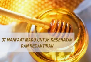 Manfaat Obat Dan Madu Dari Plato Tibet Untuk Kesehatan