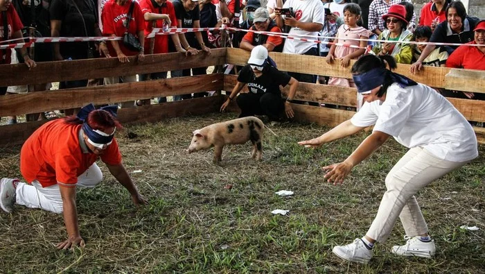 Nyama unik: lomba menangkap anak babi tutup mata meriahkan hut ri ke-81 di palangka raya Nyama Unik: Lomba Menangkap Anak Babi Tutup Mata Meriahkan Hut Ri Ke-81 Di Palangka Raya