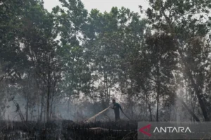 Palangka Raya Tanggap Darurat Karhutla Hingga 10 Agustus, Upaya Cegah Kebakaran Hutan