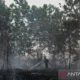 Palangka Raya Tanggap Darurat Karhutla Hingga 10 Agustus, Upaya Cegah Kebakaran Hutan