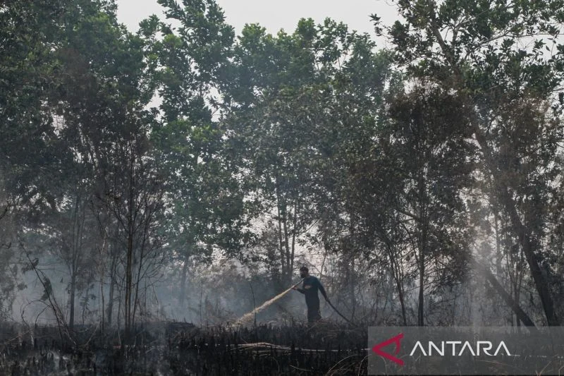 Palangka raya tanggap darurat karhutla hingga 10 agustus, upaya cegah kebakaran hutan Palangka Raya Tanggap Darurat Karhutla Hingga 10 Agustus, Upaya Cegah Kebakaran Hutan