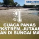 Panas Ekstrem Surutkan Air Sungai Danube, Ganggu Pengiriman Kargo