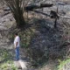 Pelajar Bakar Hutan Barsel: Aksi Berulang, Terpikir Warga, Akhirnya Dipenjara