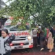 Pohon Dikuli Ti Di Bandung: Wali Kota Farhan Usut Kasus Dan Upaya Penyelamatan