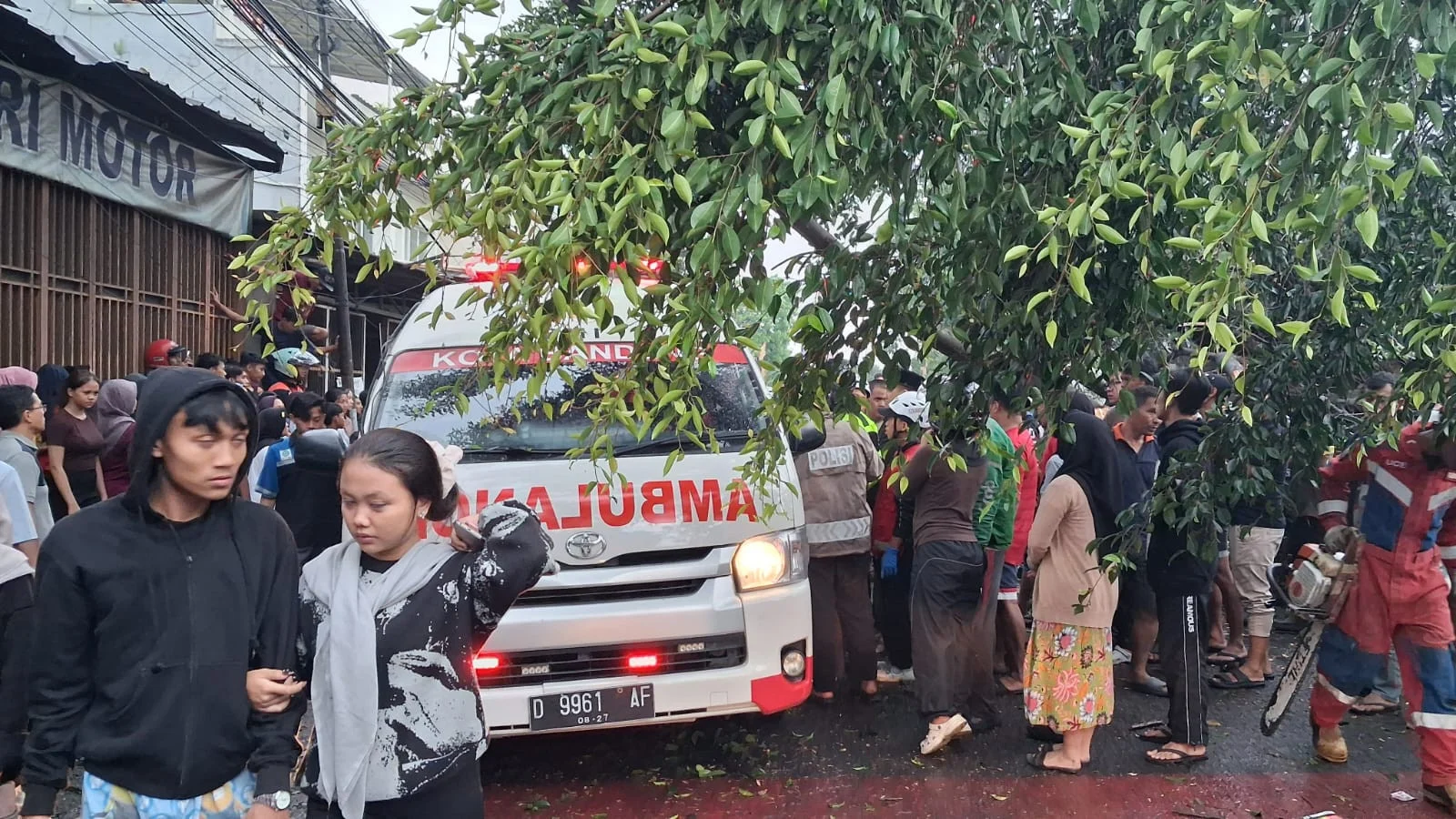 Pohon dikuli ti di bandung: wali kota farhan usut kasus dan upaya penyelamatan Pohon Dikuli Ti Di Bandung: Wali Kota Farhan Usut Kasus Dan Upaya Penyelamatan