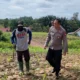 Polres Gunung Mas Dukung Penguatan Ketahanan Pangan Dengan 75 Kg Bibit Jagung Hibrida