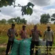 Polsek Manuhing Bantu Petani Panen 8 Ton Jagung, Dorong Ketahanan Pangan Nasional